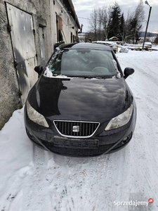 Seat Ibiza copa