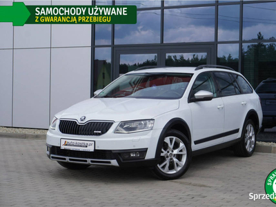 Škoda Octavia 4x4, Xenon, Kamera, Webasto, Ele.klapa, GWARANCJA, Bezwypade…