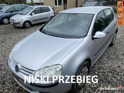 Volkswagen Golf Niski przebieg, 5 drzwi, CLIMAtronic, isofix, zadbany V (2…