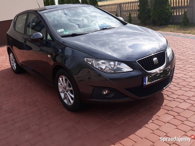 Zadbany Seat Ibiza IV