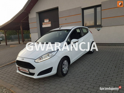 Ford Fiesta Mk7 (2008-)