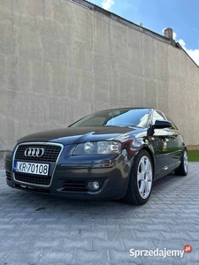 Audi a3 8p 2.0TDI