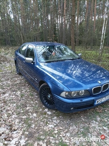 BMW E 39 lift