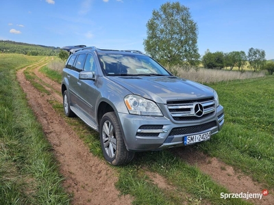 Mercedes GL450 V8 ZAMIANA