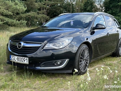 Opel insignia eco Flex