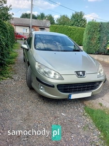 Peugeot 407