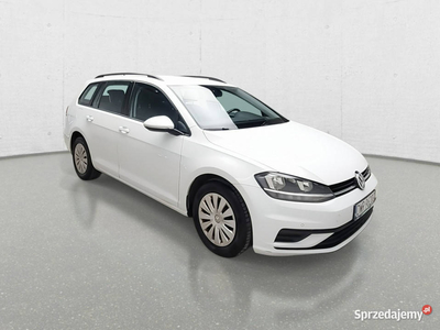 Volkswagen Golf VII (2012-)