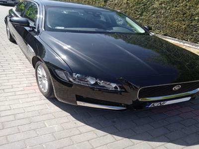 Używane Jaguar XF - 75 900 PLN, 126 400 km, 2016