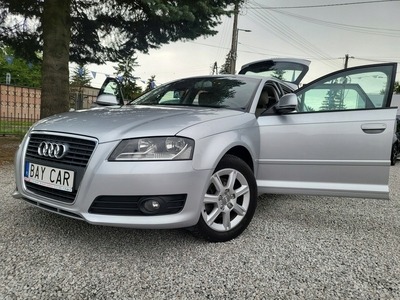 Audi A3 8P Hatchback 3d 1.4 TFSI 125KM 2010