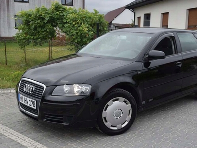 Audi A3 8P Hatchback 3d 1.6 102KM 2007