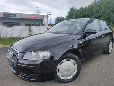 Audi A3 8P Hatchback 3d 1.6 102KM 2007