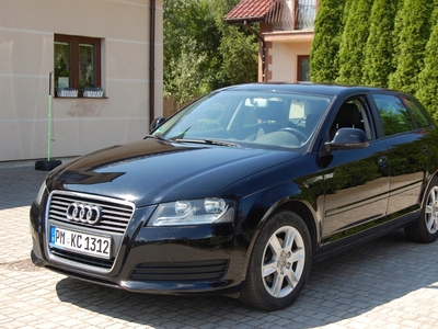 Audi A3 8P Hatchback 3d 1.6 102KM 2010