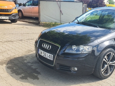 Audi A3 8P Hatchback 3d 1.9 TDI 105KM 2005