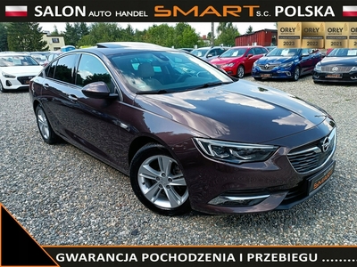 Opel Insignia I Hatchback Facelifting 2.0 CDTI Ecotec 170KM 2017