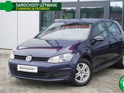 Volkswagen Golf VII Hatchback 3d 1.6 TDI-CR DPF 105KM 2013