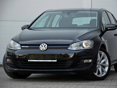 Volkswagen Golf VII Variant 1.6 TDI BlueMotion Technology 110KM 2014