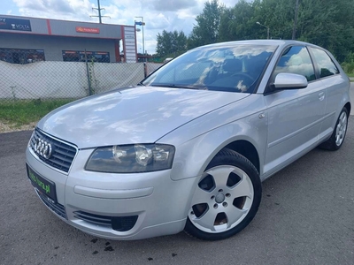 Audi A3 8L Hatchback 1.6 i 102KM 2003