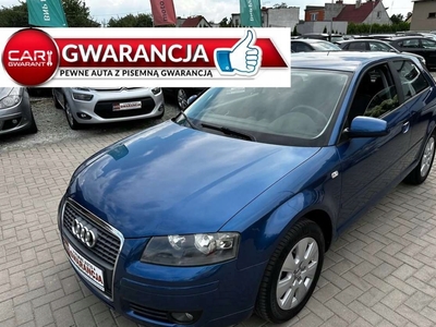 Audi A3 8P Hatchback 3d 1.6 102KM 2007