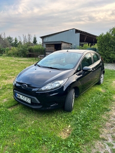 Ford Fiesta VII Hatchback 5d 1.25 Duratec 60KM 2009