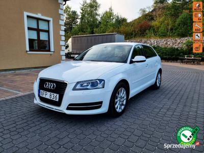 Audi A3 Led Bixenon Bezwypadek Serwis 2x koła 8P (2003-2012)