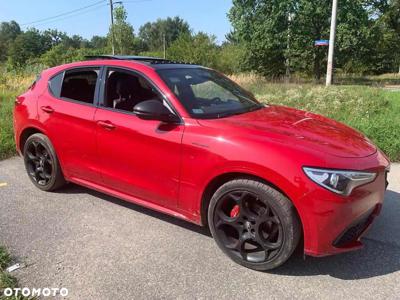 Alfa Romeo Stelvio 2.0 Turbo Veloce Q4