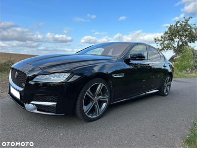 Jaguar XF P250 R-Dynamic SE