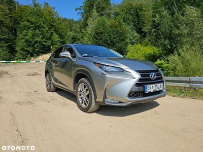 Lexus NX 300h Elegance AWD