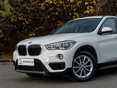 BMW X1 18i, I właściciel, Salon PL, Bezwypadkowy, FV VAT