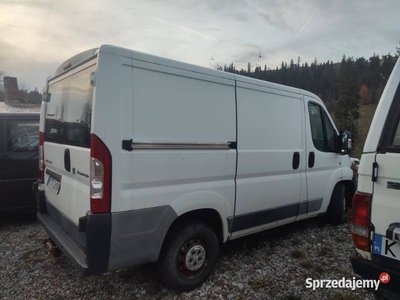 dangel 4x4 jumper ducato