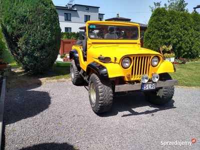 Jeep Willys 1959,możliwa zamiana