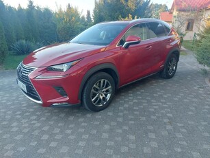 Używany Lexus NX 2019