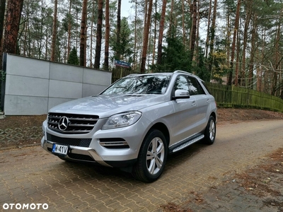 Mercedes-Benz ML 350 BlueEff 4-Matic