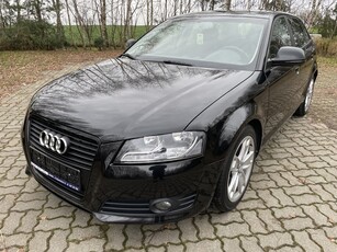 Audi A3 II (8P) Audi A3 2.0 TDI COMMON RAIL Orginalny lakier