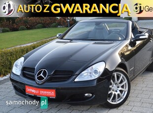 Mercedes-Benz SLK-Klasa SLK 200