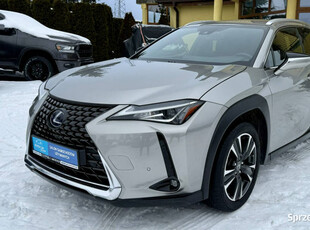 Lexus UX 250h,Hybryda,Gwarancja