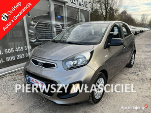 Kia Picanto 1.0 Oryginalny Lakier 1wł Klima Bez Rdzy Ks Serw Stan BDB Bezw…