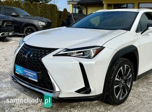 Lexus UX 250h Elegance AWD