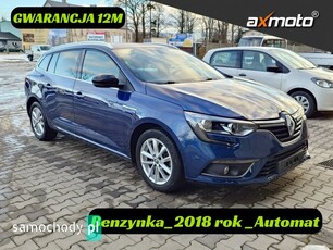 Renault Megane Inne