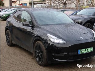 TESLA MODEL Y /2023