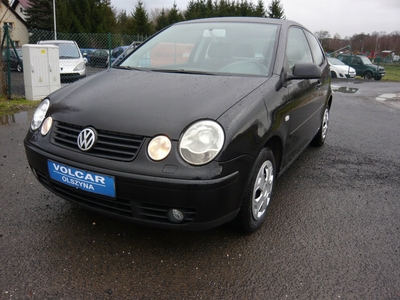 Volkswagen Polo IV Hatchback 1.4 16V 75KM 2002