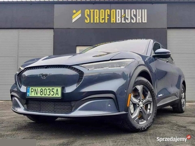 Ford Mustang Mach-E RWD 2021 98 kWh 294KM bardzo dobry