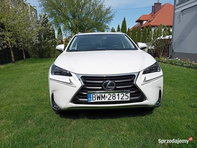 LEXUS NX200T z USA kupiony nowy w SALONIE BEZWYAPDKOWY