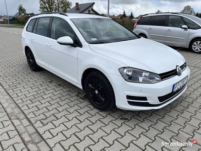 Golf 7 1.6Tdi bluemotion 2016r. Salon Polska