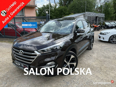 Hyundai Tucson 2.0 1WŁ Org Lakier 4x4 Automat Grzane Skóry Navi AluR19 Iso…