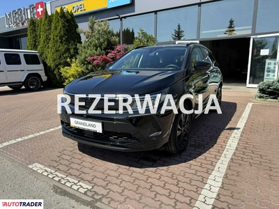 Opel Grandland X 1.2 benzyna 130 KM 2023r. (Giżycko)