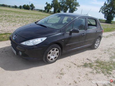 Peugeot 307 1.6 hdi lift