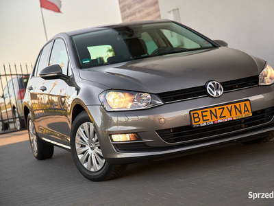 Volkswagen Golf VII HATCHBACK 5 drzwi zarejestrowany w Polsce