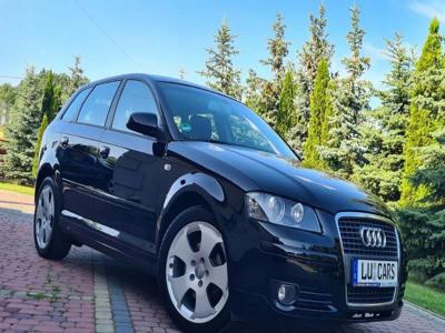 Audi A3 8P Hatchback 3d 1.6 102KM 2008