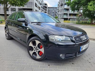 Audi A3 8P Hatchback 3d 3.2 VR6 250KM 2004