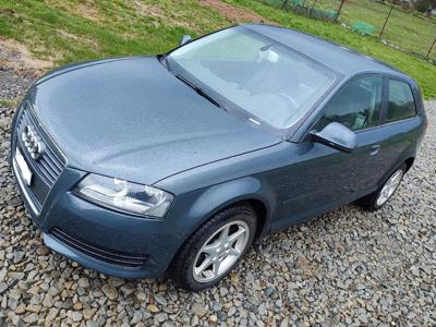 Używane Audi A3 - 14 750 PLN, 124 644 km, 2009